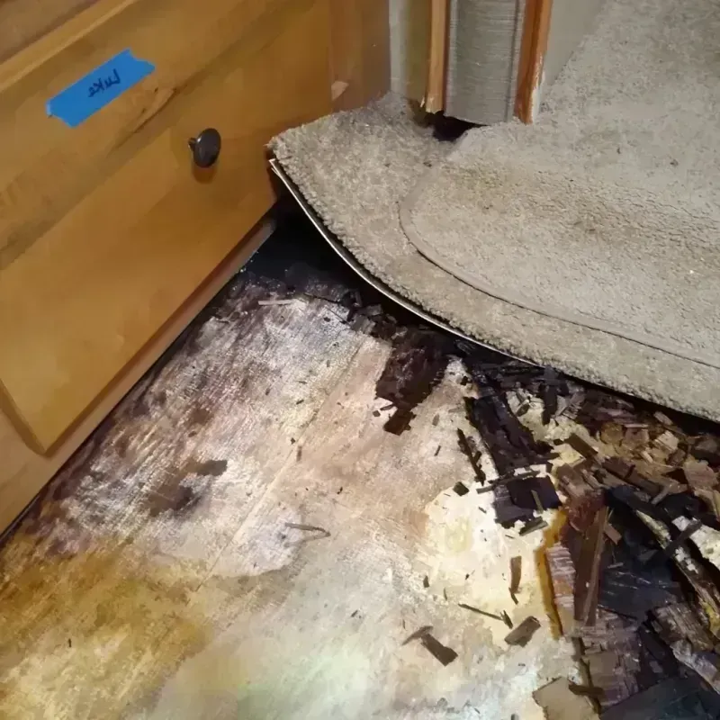 Wood Floor Water Damage in Tarrant, AL